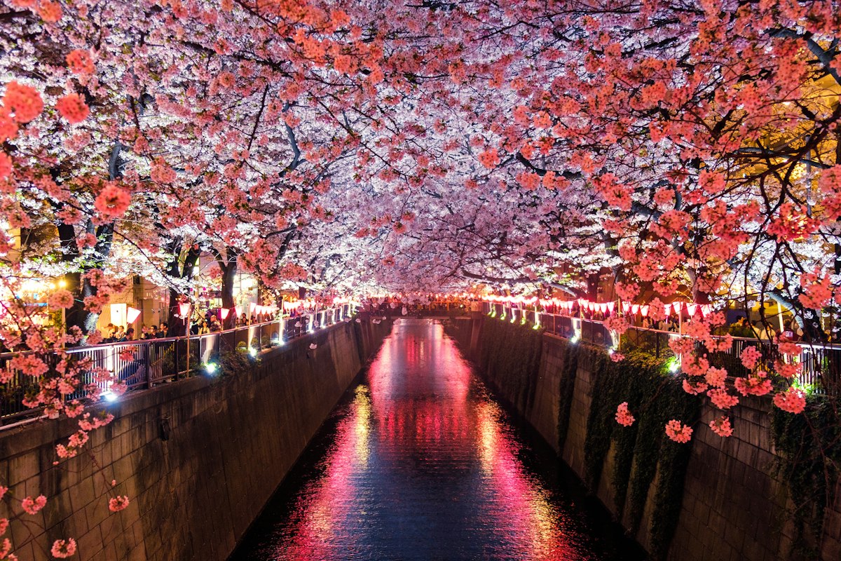Kyoto Temples-3