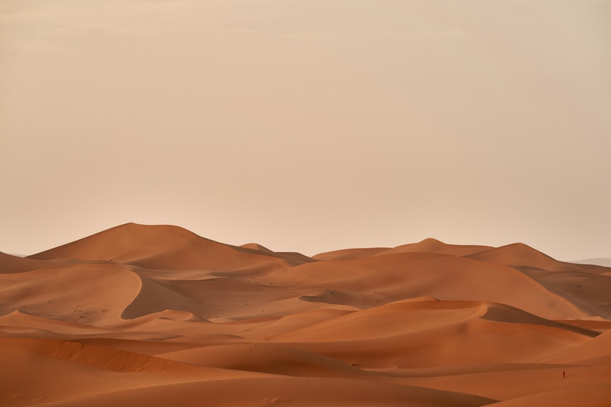 Sahara Desert-1
